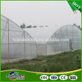 Quality primacy stylish design cucumber greenhouse used plastic film